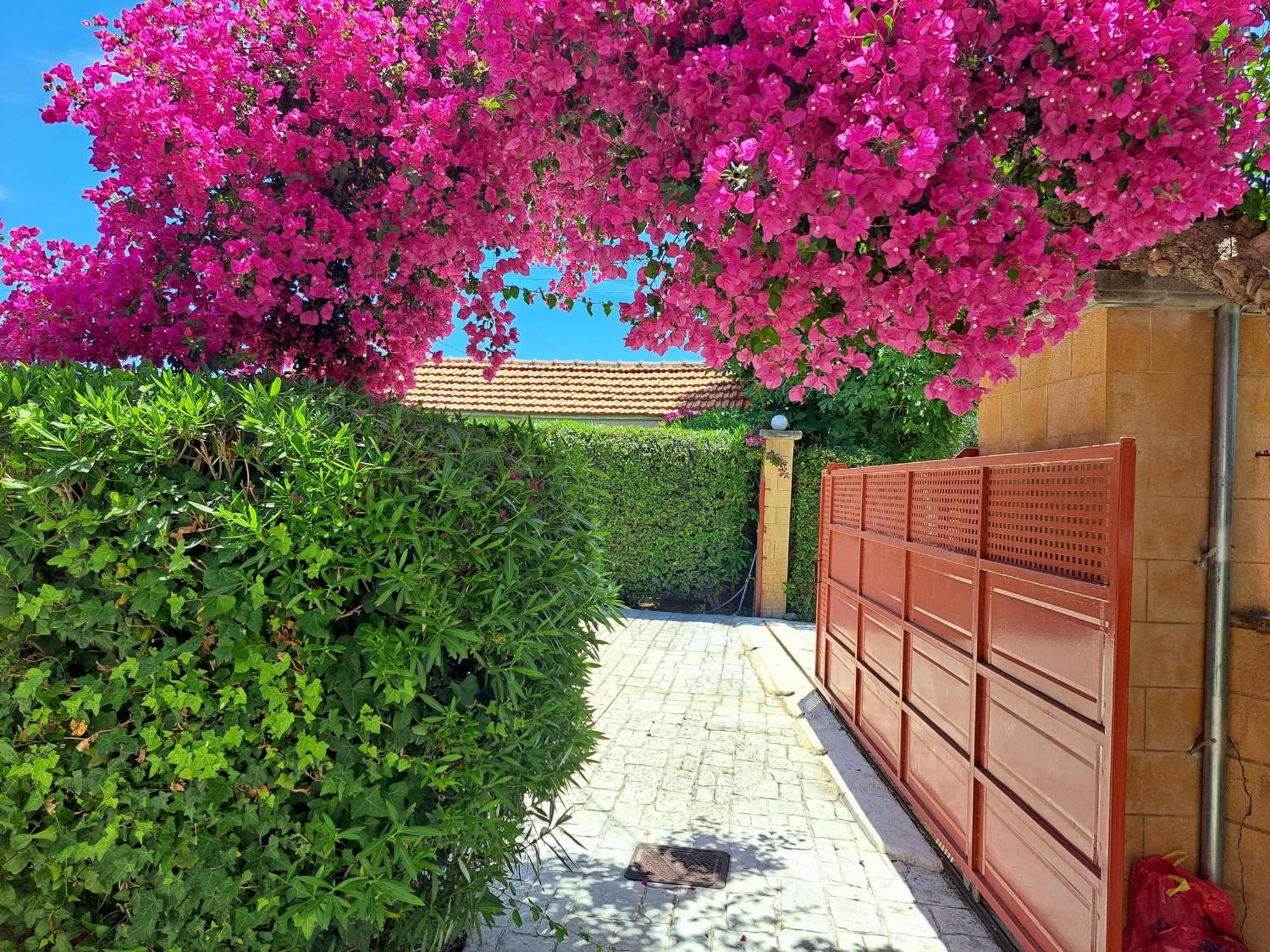 Holiday Home Orfanos Armenoi  Ngoại thất bức ảnh